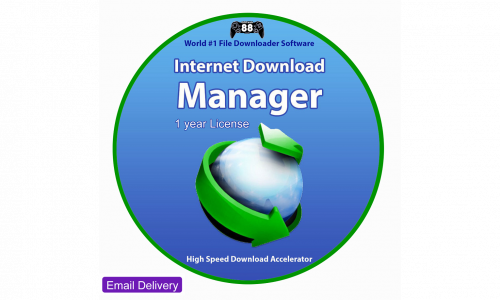 Internet Download Manager 1 Year
